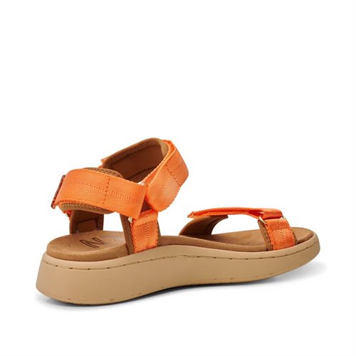 Woden - Line - Orange